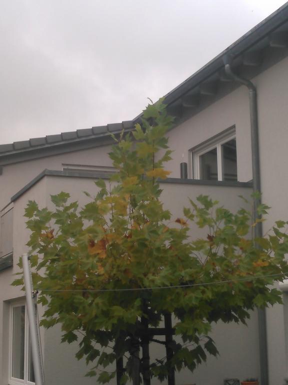Ferienwohnung zum Kletterturm Kaufbeuren Exterior foto